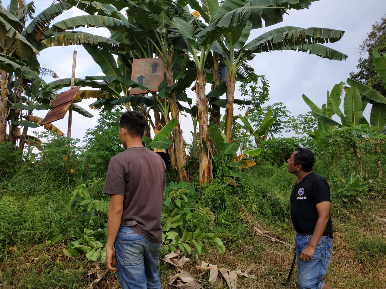 IMG 20191122 WA0118 muara teweh lanjas
